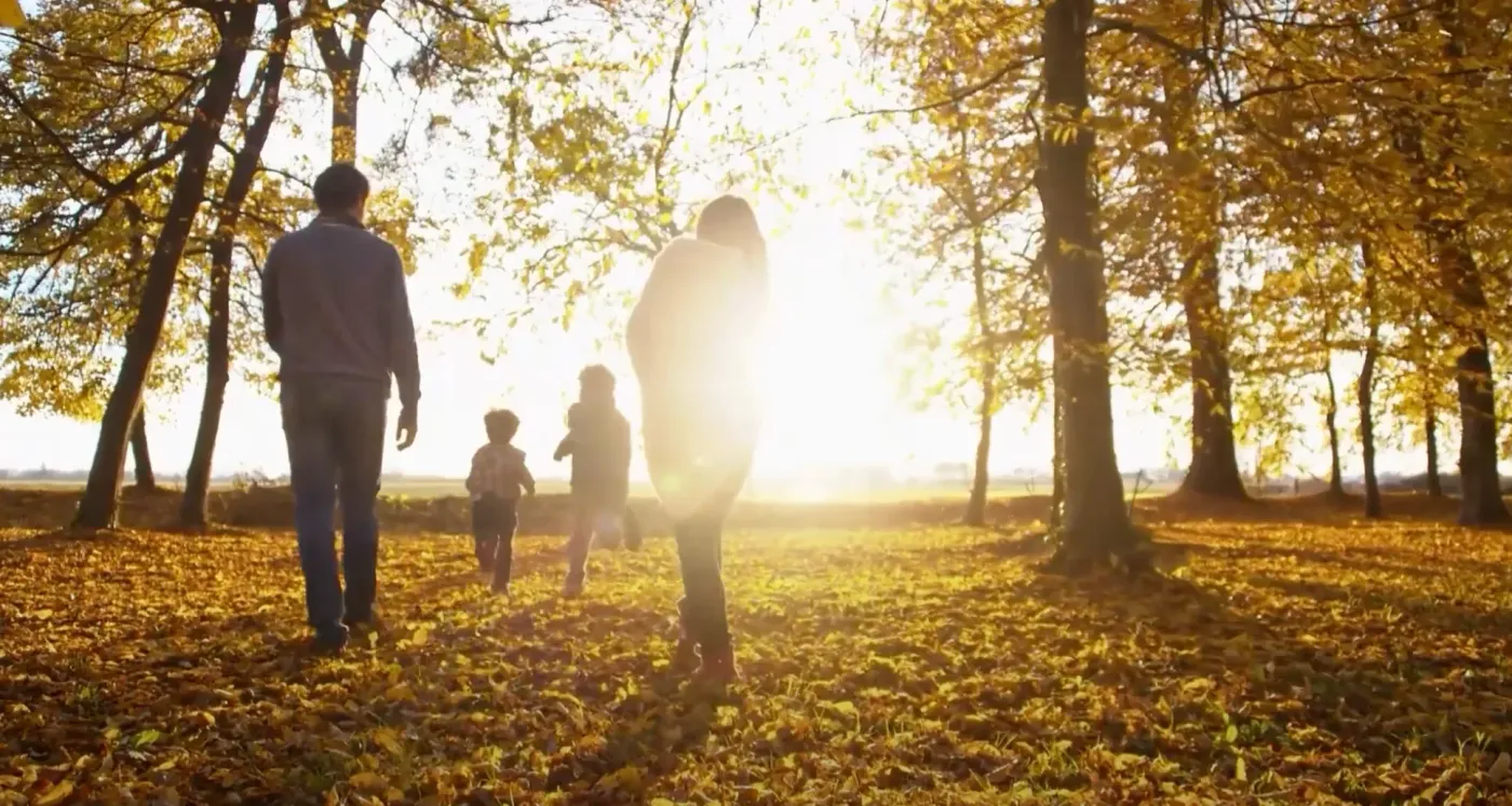 Strategy video thumbnail